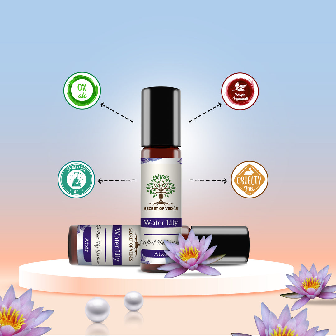 Water Lily – A Reflection of Tranquility