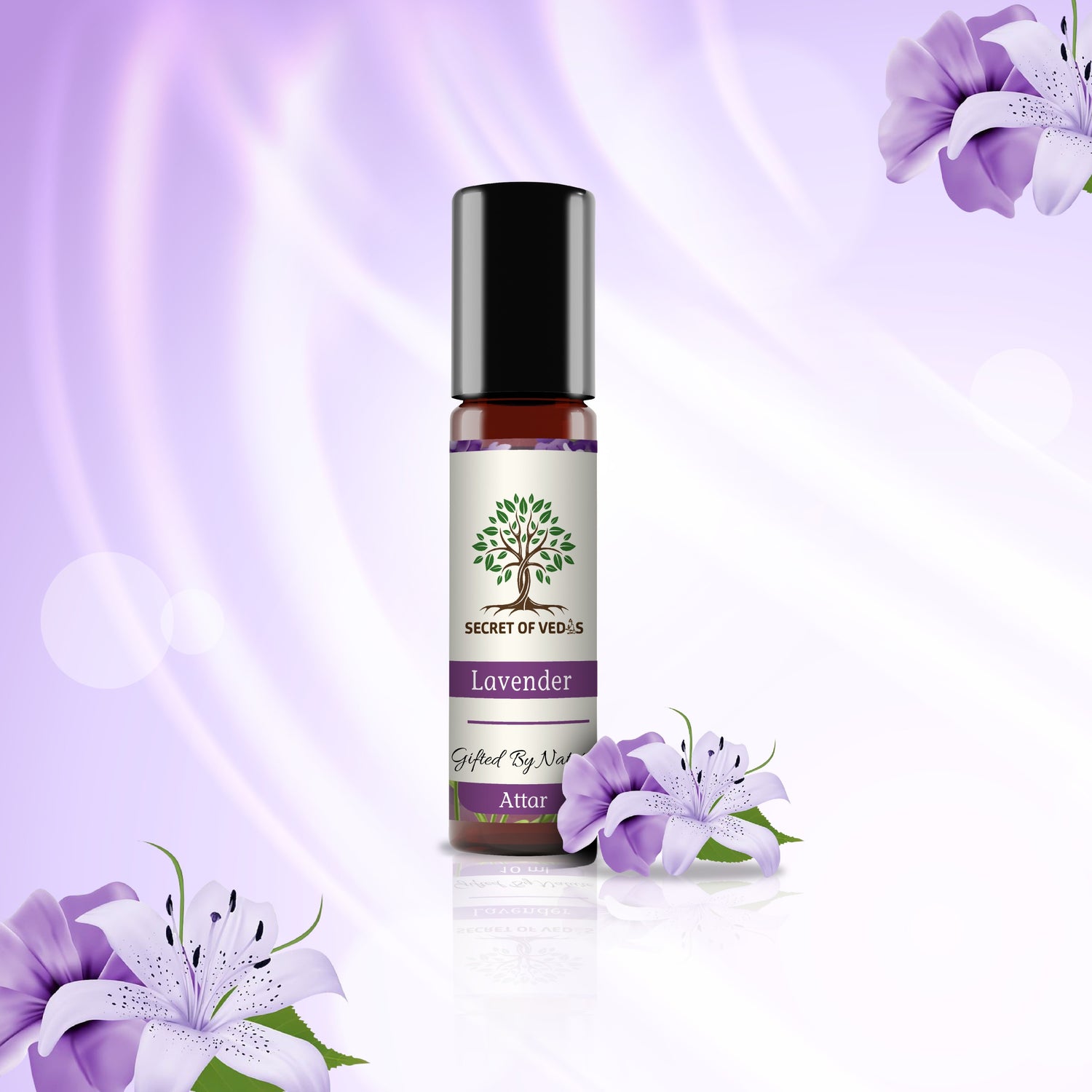 Lavender – A Gentle Breeze of Calm