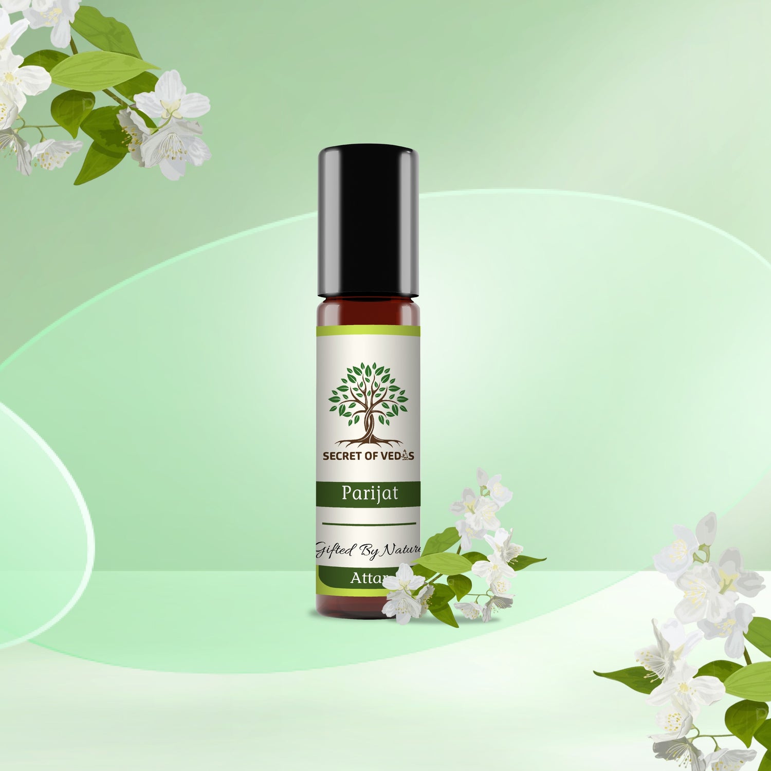 Jasmine – A Blooming Delight
