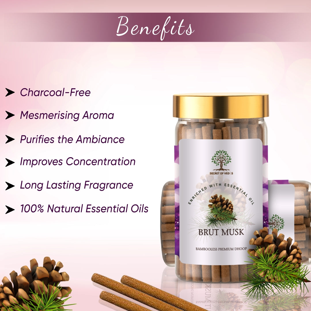 Brut Musk - Dhoop