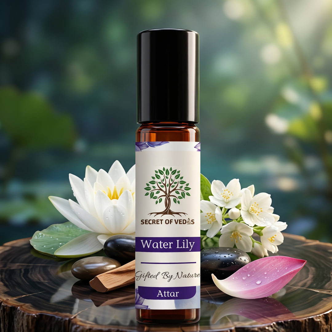 Water Lily – A Reflection of Tranquility